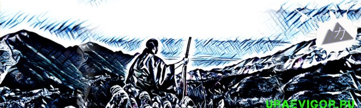 Самурай созерцает